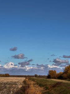 Preview wallpaper field, road, trees, clouds, agriculture, autumn