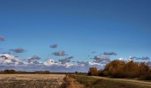 Preview wallpaper field, road, trees, clouds, agriculture, autumn