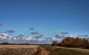 Preview wallpaper field, road, trees, clouds, agriculture, autumn