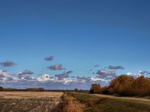 Preview wallpaper field, road, trees, clouds, agriculture, autumn