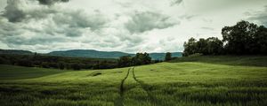 Preview wallpaper field, rye, landscape, hills, relief, trees, agriculture