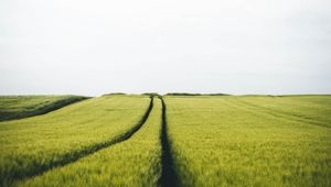 Preview wallpaper field, rye, traces, horizon, landscape