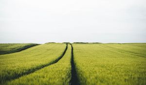 Preview wallpaper field, rye, traces, horizon, landscape