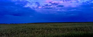 Preview wallpaper field, sky, clouds, evening