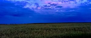 Preview wallpaper field, sky, clouds, evening