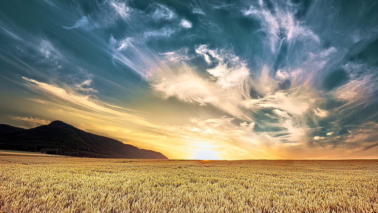 Wallpaper field, sky, clouds, light, landscape, nature