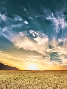 Preview wallpaper field, sky, clouds, light, landscape, nature