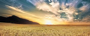 Preview wallpaper field, sky, clouds, light, landscape, nature