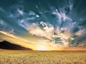 Preview wallpaper field, sky, clouds, light, landscape, nature