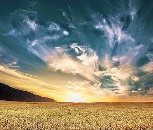 Preview wallpaper field, sky, clouds, light, landscape, nature