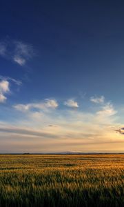 Preview wallpaper field, sky, clouds, decline, expanse