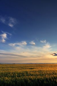 Preview wallpaper field, sky, clouds, decline, expanse