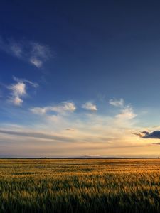 Preview wallpaper field, sky, clouds, decline, expanse