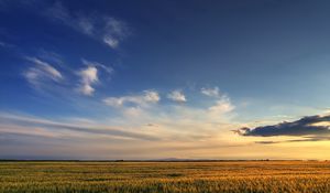 Preview wallpaper field, sky, clouds, decline, expanse