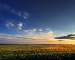 Preview wallpaper field, sky, clouds, decline, expanse