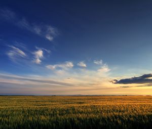 Preview wallpaper field, sky, clouds, decline, expanse