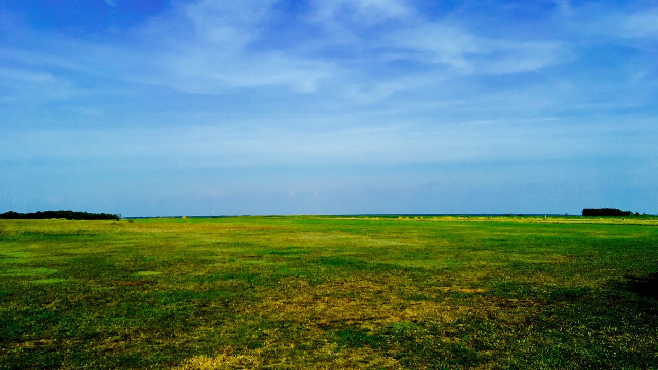 Wallpaper field, sky, grass, summer
