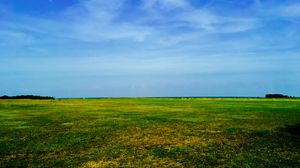 Preview wallpaper field, sky, grass, summer