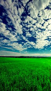 Preview wallpaper field, sky, grass, clouds, green, summer