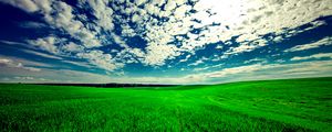 Preview wallpaper field, sky, grass, clouds, green, summer
