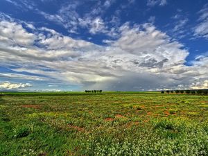 Preview wallpaper field, sky, landscape, summer