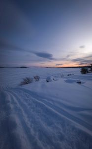 Preview wallpaper field, snow, dusk, winter, nature