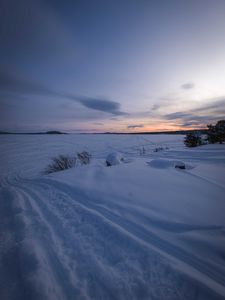 Preview wallpaper field, snow, dusk, winter, nature