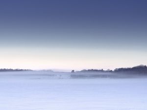 Preview wallpaper field, snow, fog, winter, landscape, white