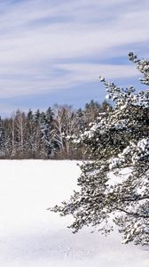 Preview wallpaper field, snow, snowdrifts, trees