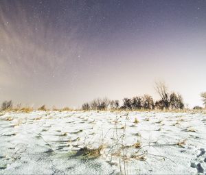 Preview wallpaper field, snow, starry sky, night, winter
