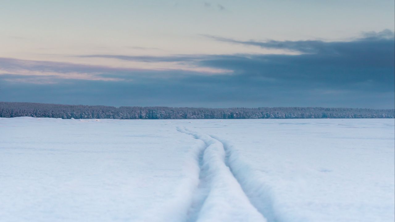 Wallpaper field, snow, tracks, winter