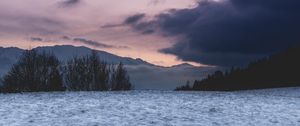 Preview wallpaper field, snow, trees, mountains, clouds
