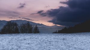 Preview wallpaper field, snow, trees, mountains, clouds