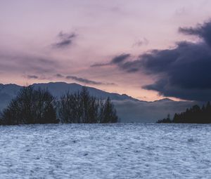 Preview wallpaper field, snow, trees, mountains, clouds