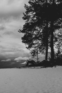 Preview wallpaper field, snow, trees, winter, bw