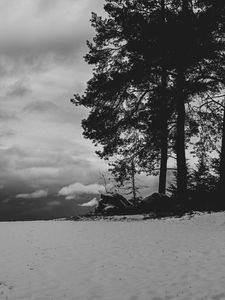 Preview wallpaper field, snow, trees, winter, bw