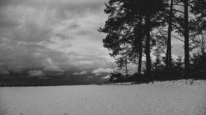 Preview wallpaper field, snow, trees, winter, bw