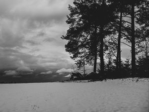 Preview wallpaper field, snow, trees, winter, bw