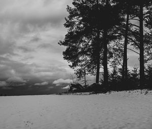 Preview wallpaper field, snow, trees, winter, bw