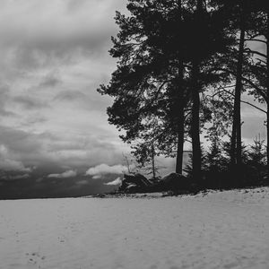 Preview wallpaper field, snow, trees, winter, bw