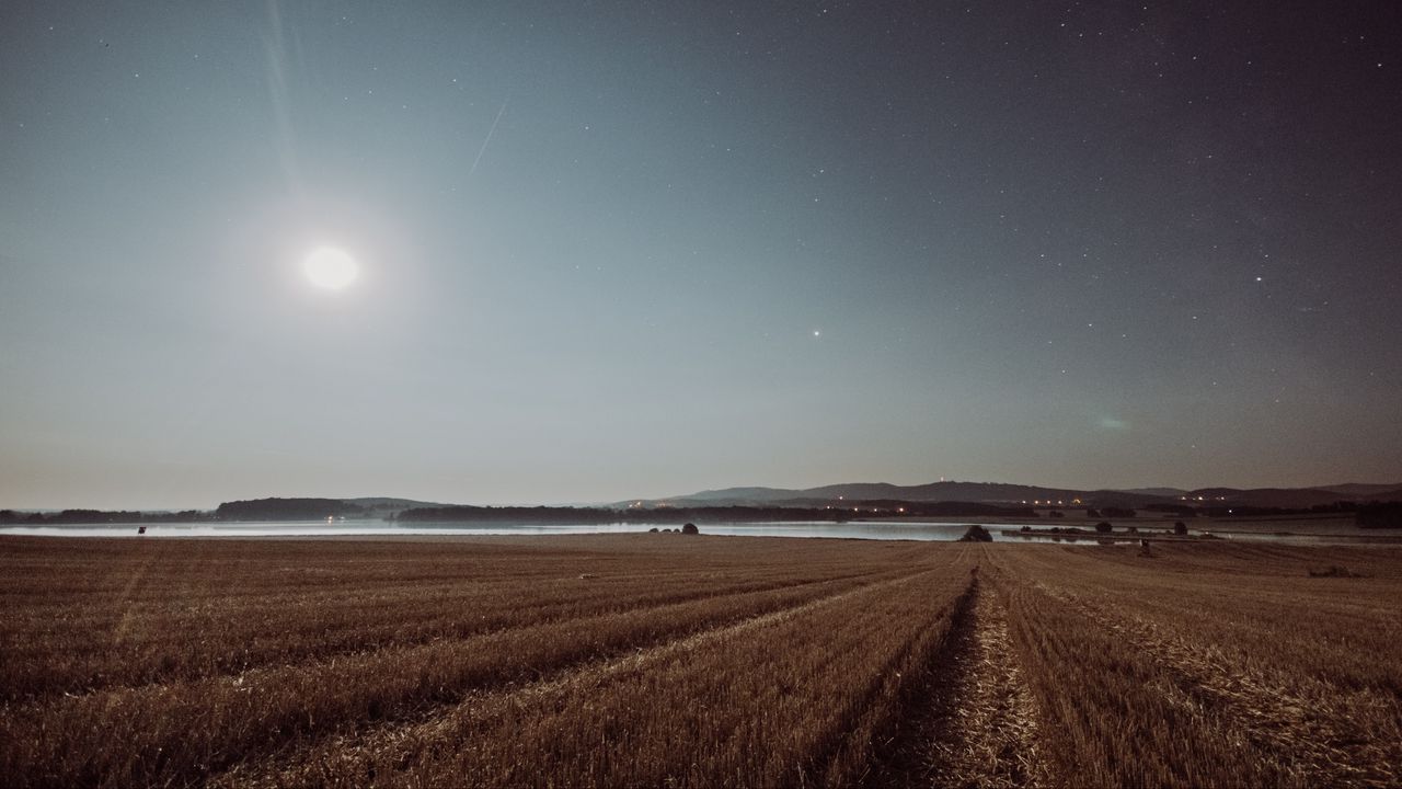 Wallpaper field, starry sky, grass, stars, night, horizon