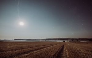 Preview wallpaper field, starry sky, grass, stars, night, horizon