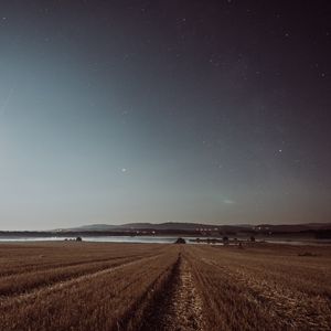 Preview wallpaper field, starry sky, grass, stars, night, horizon