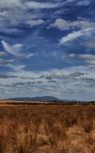 Preview wallpaper field, steppe, sky, clouds, nature