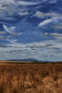 Preview wallpaper field, steppe, sky, clouds, nature