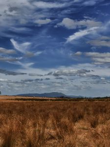 Preview wallpaper field, steppe, sky, clouds, nature