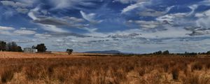 Preview wallpaper field, steppe, sky, clouds, nature