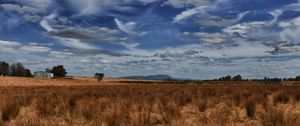 Preview wallpaper field, steppe, sky, clouds, nature