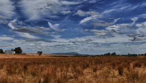 Preview wallpaper field, steppe, sky, clouds, nature