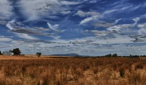 Preview wallpaper field, steppe, sky, clouds, nature